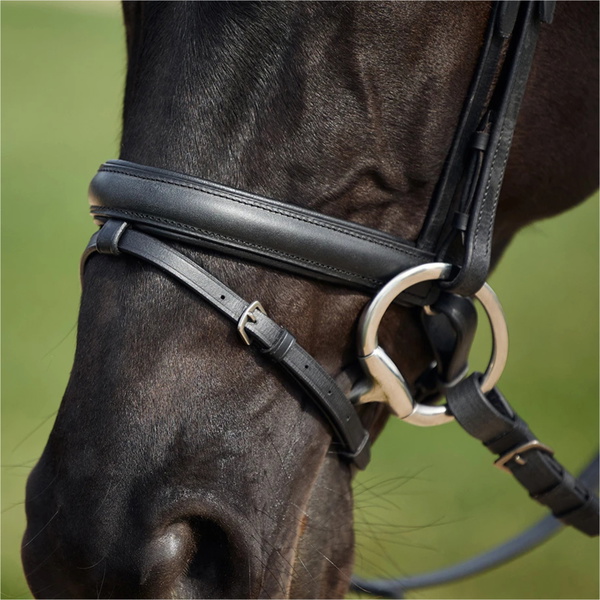 2026 Dublin Padded Comfort Crown Crystal Flash Bridle 1031500 - Black